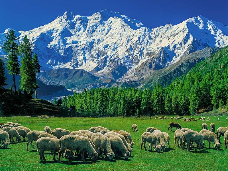 Men-Mountain-Tours